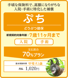 �荠�ȕی����ŁA���z�ɂȂ肪���ȓ��@�E��p�ɓ��������⏞
�Ղ��@�ǂ��Ԃ���
�V�K�_��Ώ۔N��F�V��11�����܂�
[���@][��p]
�x������70���v�����@��{�ی�����@�b�㌢�P�΁@����1,020�~