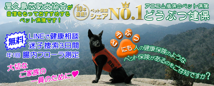 ���v���~�������
���M�������Ă������߂���
�y�b�g�ی��ł��I
10�N�A���y�b�g�ی��V�F�ANo.1
�A�j�R�����ۂ̃y�b�g�ی�
�ǂ��Ԃ���
�y�����z
LINE�Ō��N���k
���q�{���R����
�N�P�񒰓��t���[������
��؂Ȃ��Ƒ��̈���̂��߂ɁI
�ǂ��Ԃɂ��l�̌��N�ی��̂悤�ȃy�b�g�ی�������̂������m�ł����H