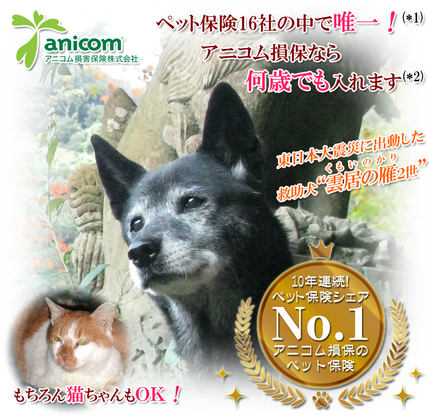 anicom
�A�j�R�����ۊ������
�y�b�g�ی�16�Ђ̒��ŗB��I(*1)
�A�j�R�����ۂȂ牽�΂ł�����܂�(*2)
�������L������OK�I
10�N�A���y�b�g�ی��V�F�ANo.1
�A�j�R�����ۂ̃y�b�g�ی�

�����{��k�Ђɏo�������~�����g�_���̊�i�������̂���j�h