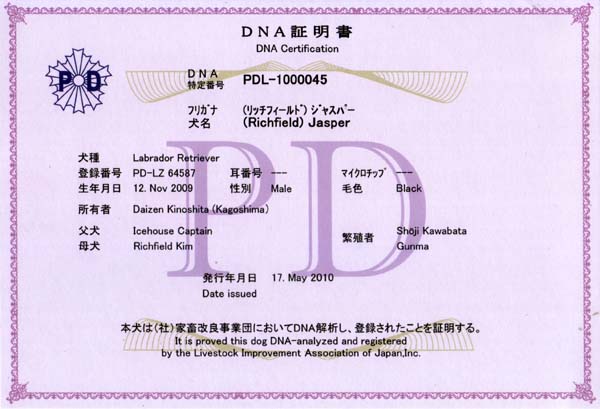 PD
DNA�ؖ���
DNA Certification
DNA����ԍ��@PDL-1000045
�t���K�i�@�i���b�`�t�B�[���h�j�W���X�p�[
�����@(Richfield) Jasper
����@Labrador Retriever
�o�^�ԍ��@PD-LZ 64587
���ԍ��@������
�}�C�N���`�b�v�@������
���N�����@12.Nov 2009
���ʁ@Male
�ѐF�@Black
���L�ҁ@Daizen Kinoshita(Kagoshima)
�����@Icehouse Captain
�ꌢ�@Richfield Kim
�ɐB�ҁ@Shoji Kawabata(Gunma)
���s�N�����iDate issued�j�@17.May 2010
�{����(��)�ƒ{���ǎ��ƒc�ɂ�����DNA��͂��A�o�^���ꂽ���Ƃ��ؖ�����B
It is proved this dog DNA-analyzed and registered by the Livestock Improvement Association of Japan,Inc.