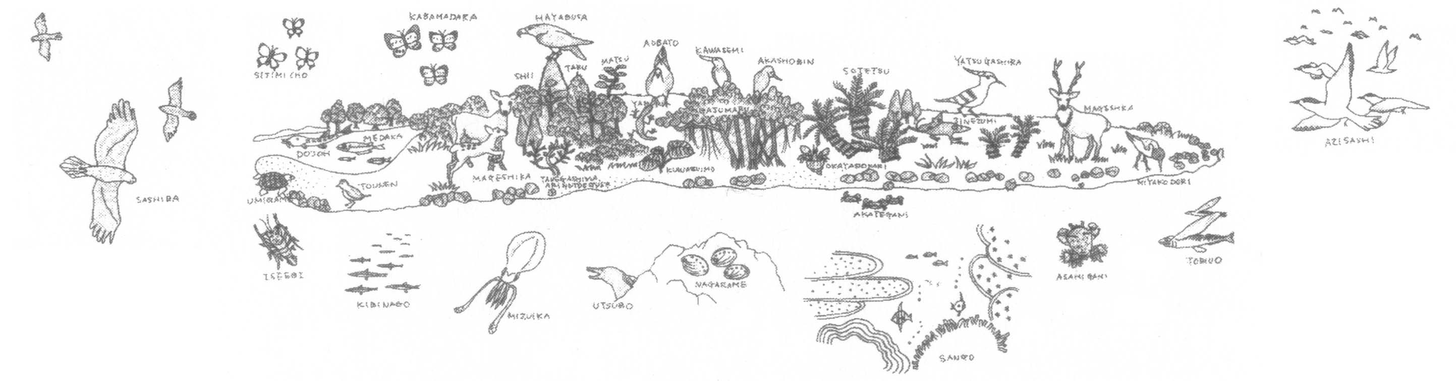馬毛島の生物
馬毛島の自然を守る会 作成